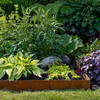 Corten 18×100 cm Clear Edge Protection & Lawn Edging 4-Pack