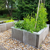 Grow collar Zinc