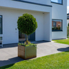 Corten Planter Pot