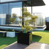 Black Planter Pot
