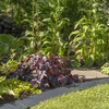 Unique Grey Lawn Edging & Edge Protection
